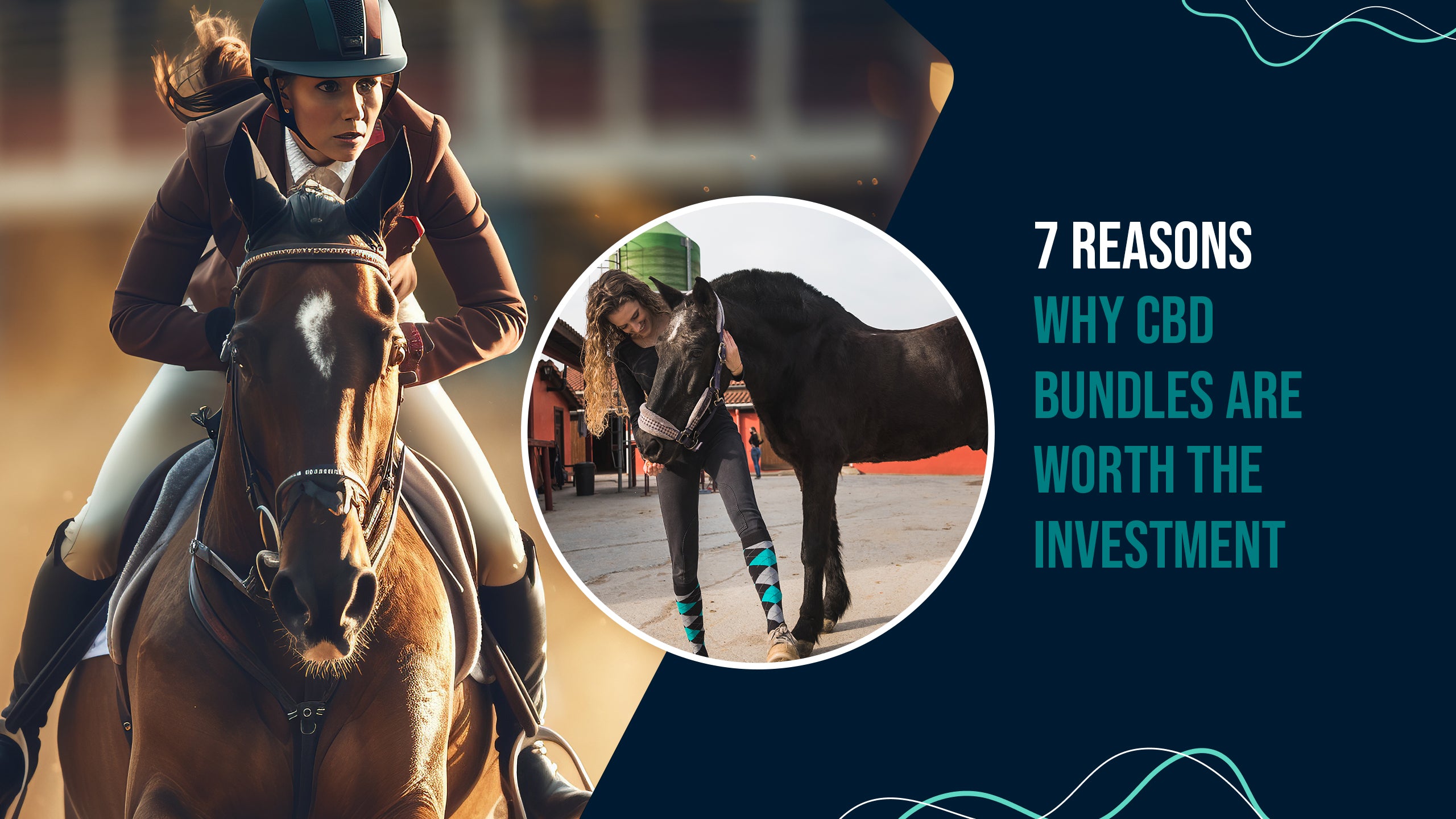 7 Reasons Why CBD Bundles Are Worth the Investment