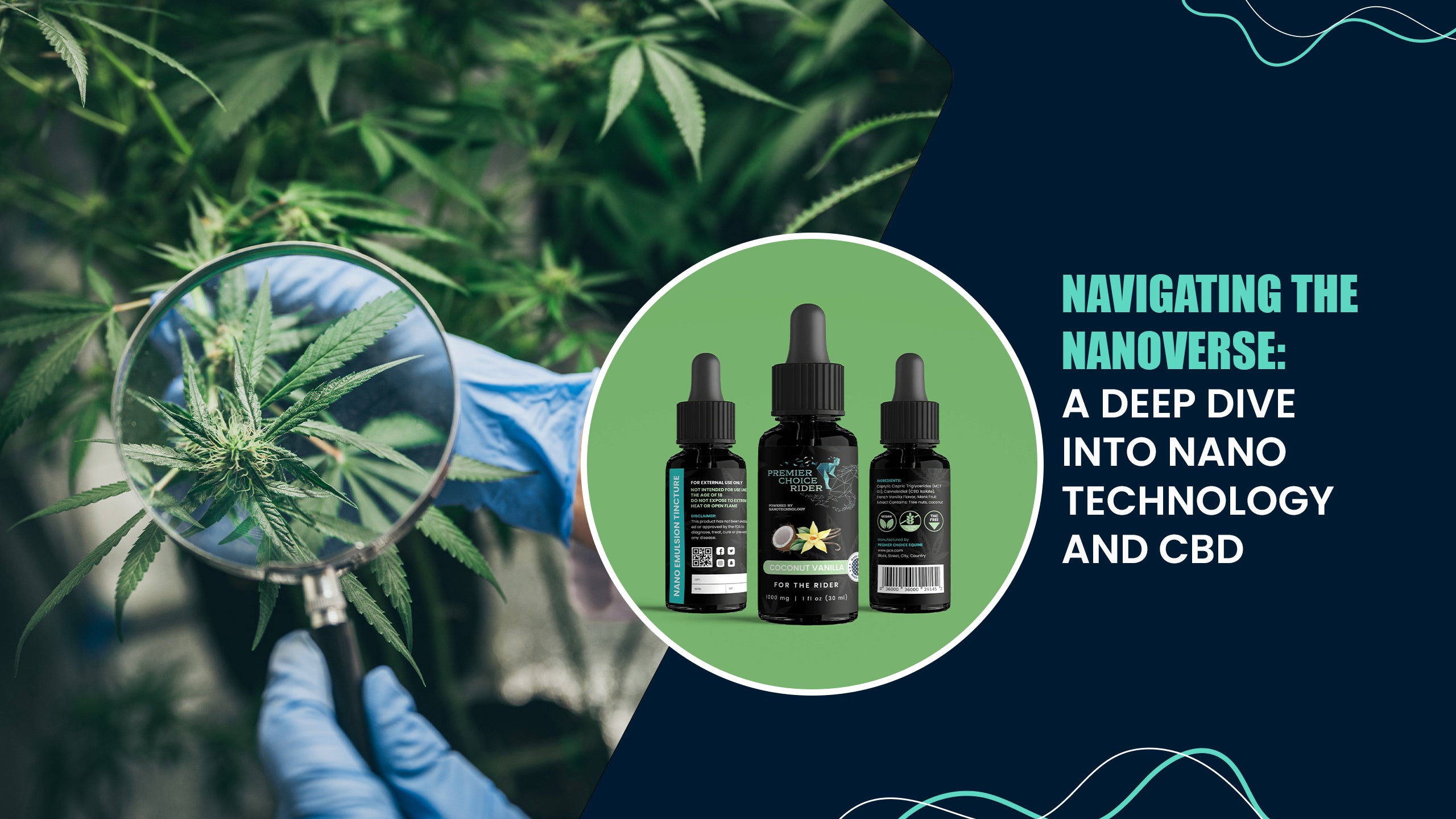 Navigating the Nanoverse: A Deep Dive Into Nanotechnology and CBD