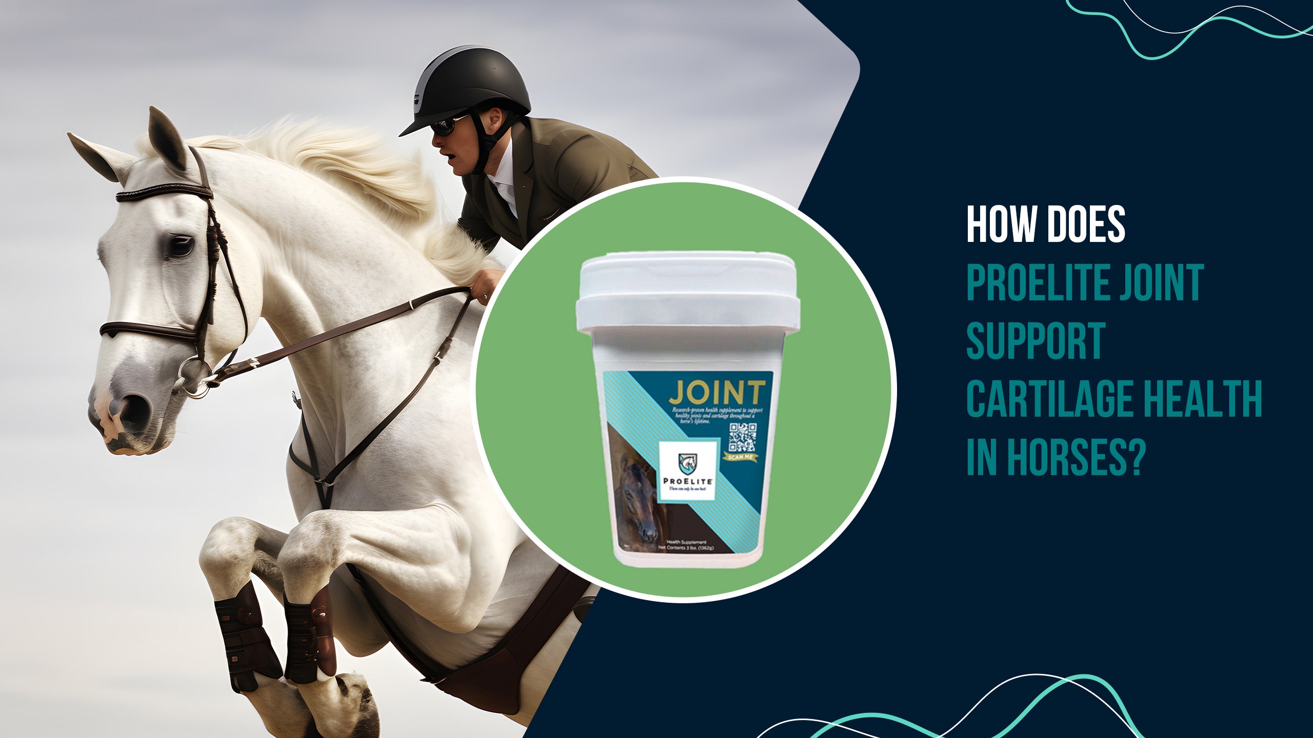 How Does ProElite Joint Support Cartilage Health in Horses?