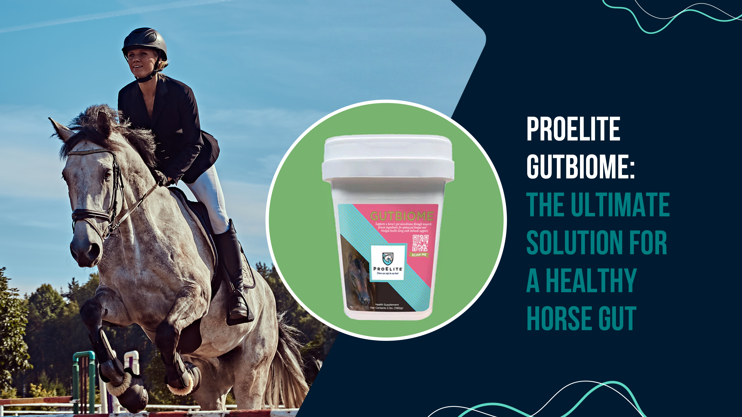 ProElite GutBiome: The Ultimate Solution for a Healthy Horse Gut