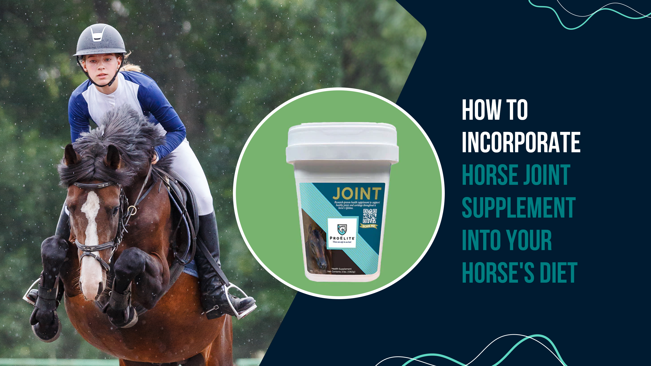 How to Incorporate Horse Joint Supplement into Your Horse's Diet
