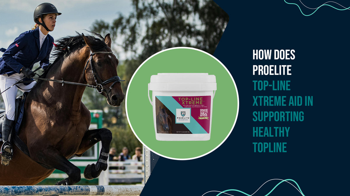 ProElite TopLine Xtreme UnveiledExploring Topline Wellness