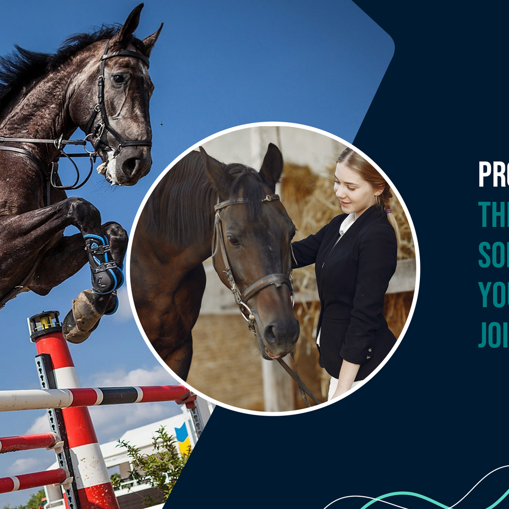 ProElite Joint: The Ultimate Solution for Your Horse's Joint Health