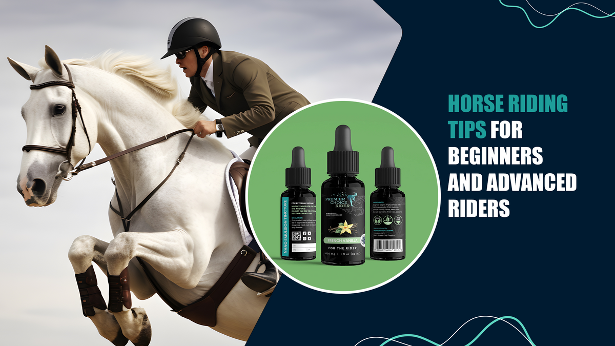 Essential Horse Riding Tips for All Skill Levels PCE