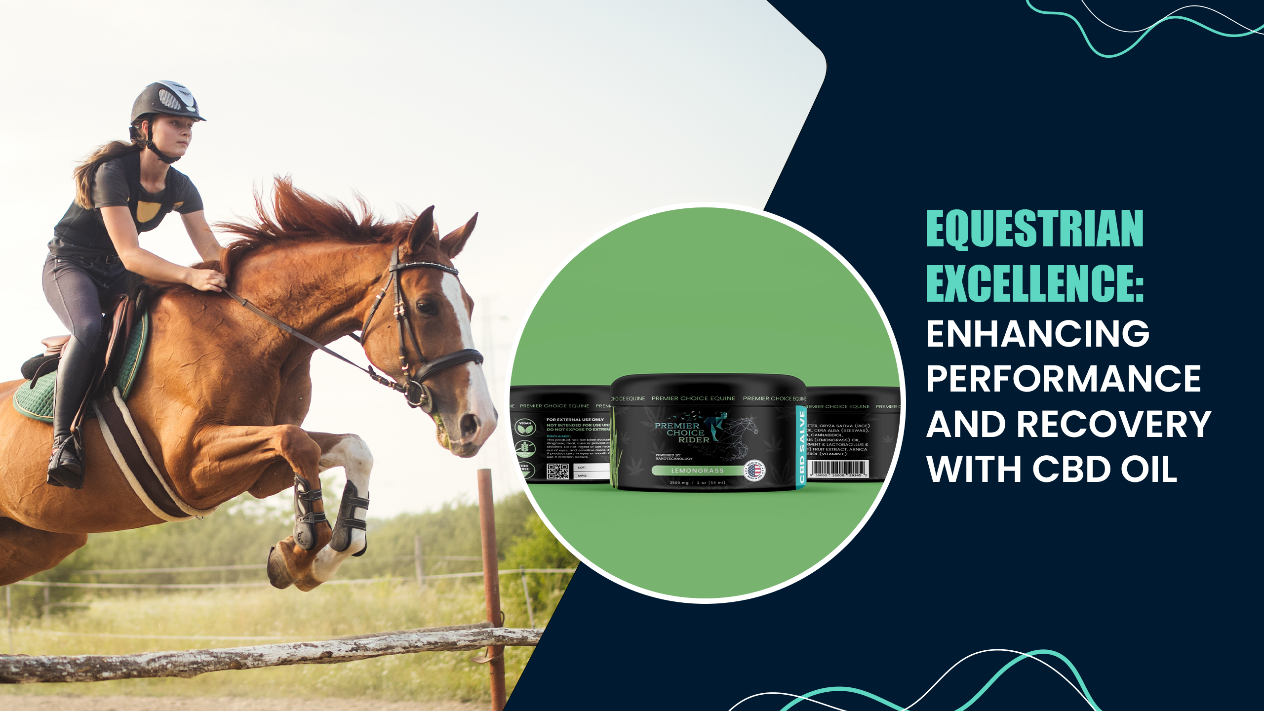 Equestrian Excellence: Enhancing Performance and Recovery with CBD Oil
