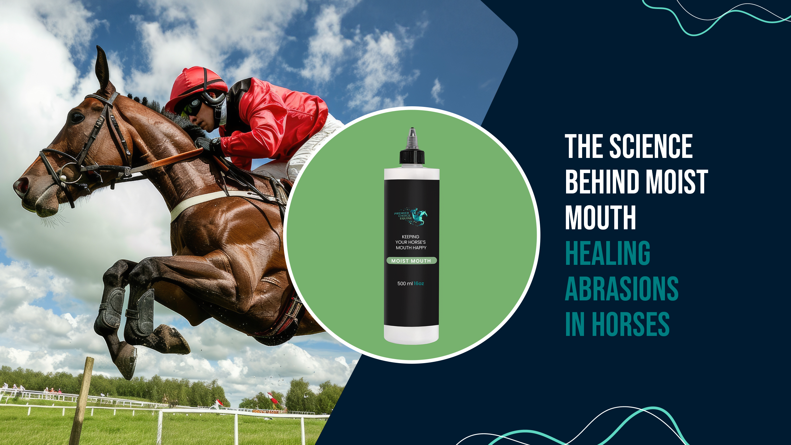 The Science Behind Moist Mouth: Healing Abrasions in Horses