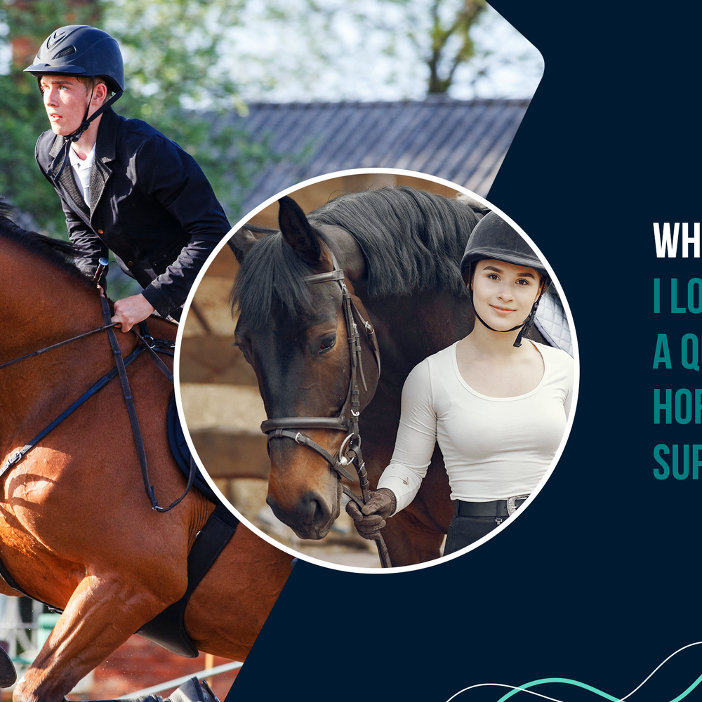 What Should I Look for in a Quality Horse Vitamin Supplement?
