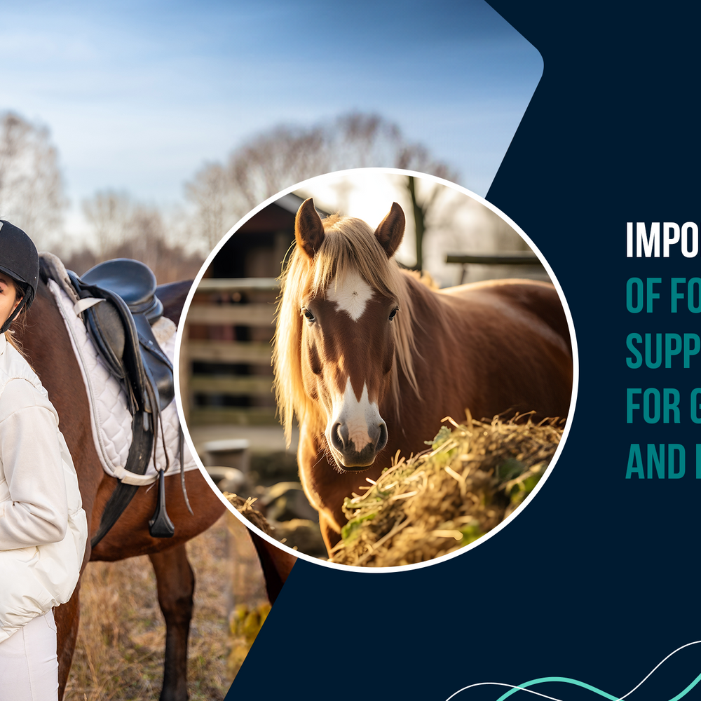 Importance of Foal Supplements for Growth and Development