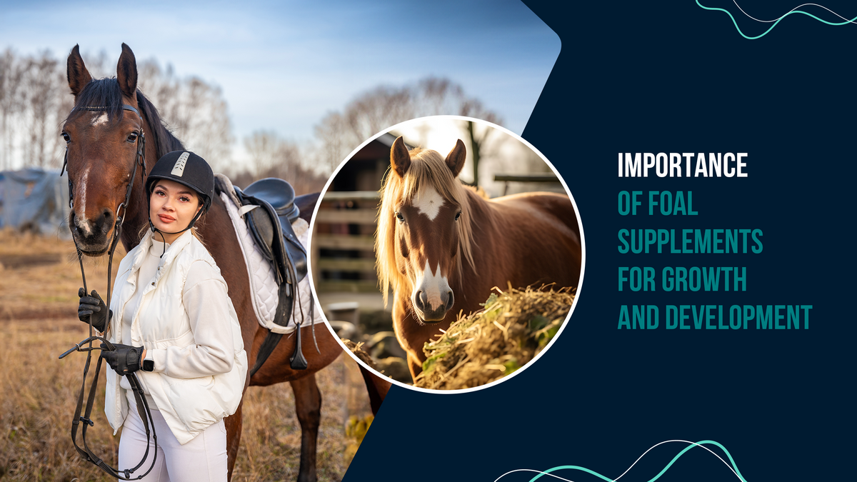 Foal Supplements For Optimal Growth | Premier Choice Equine