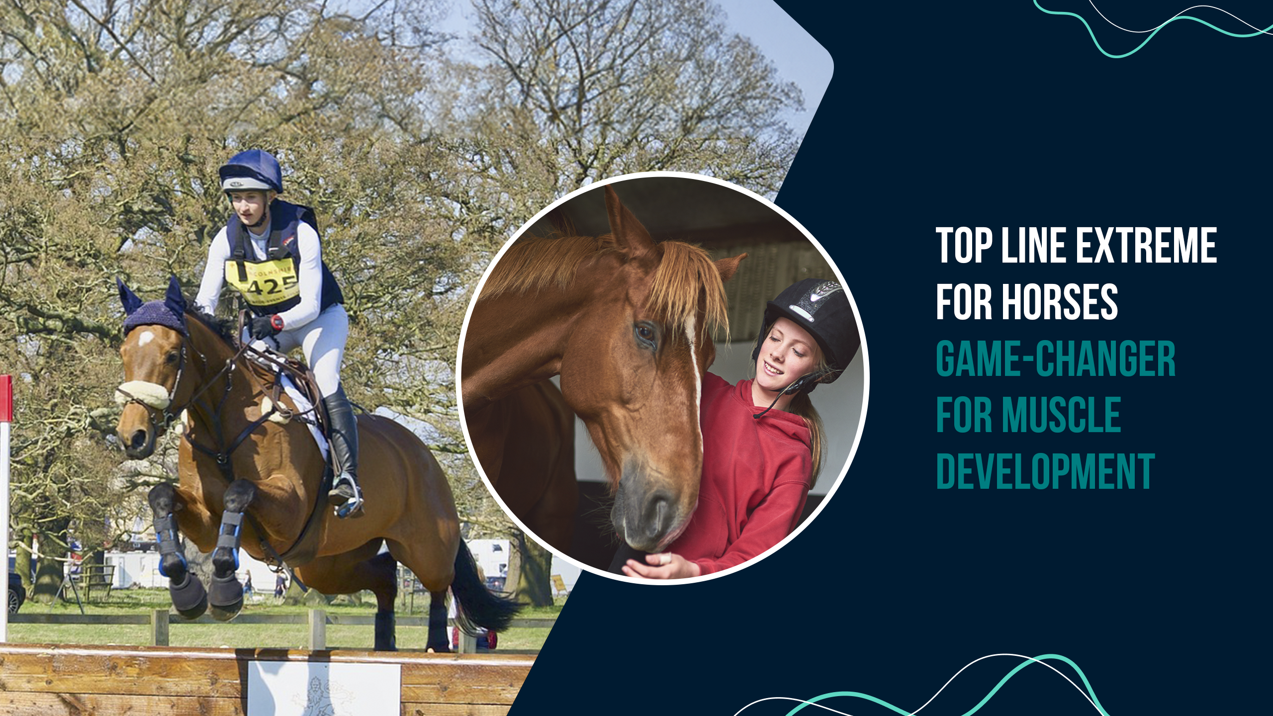 Top-Line Xtreme for Horses: Game-Changer for Muscle Development