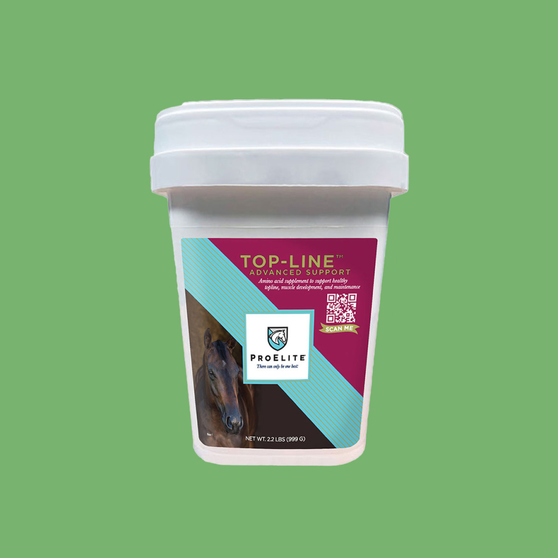 ProElite Top-Line Advanced Support for Horses