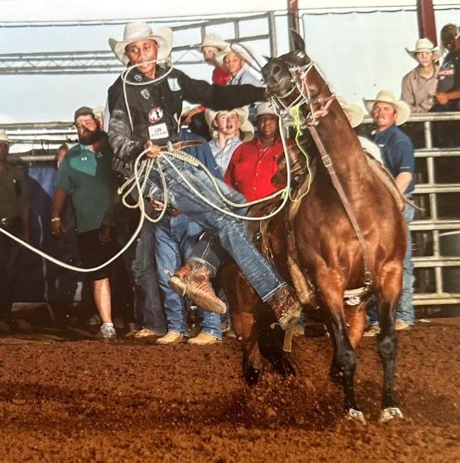 Premier Choice Equine