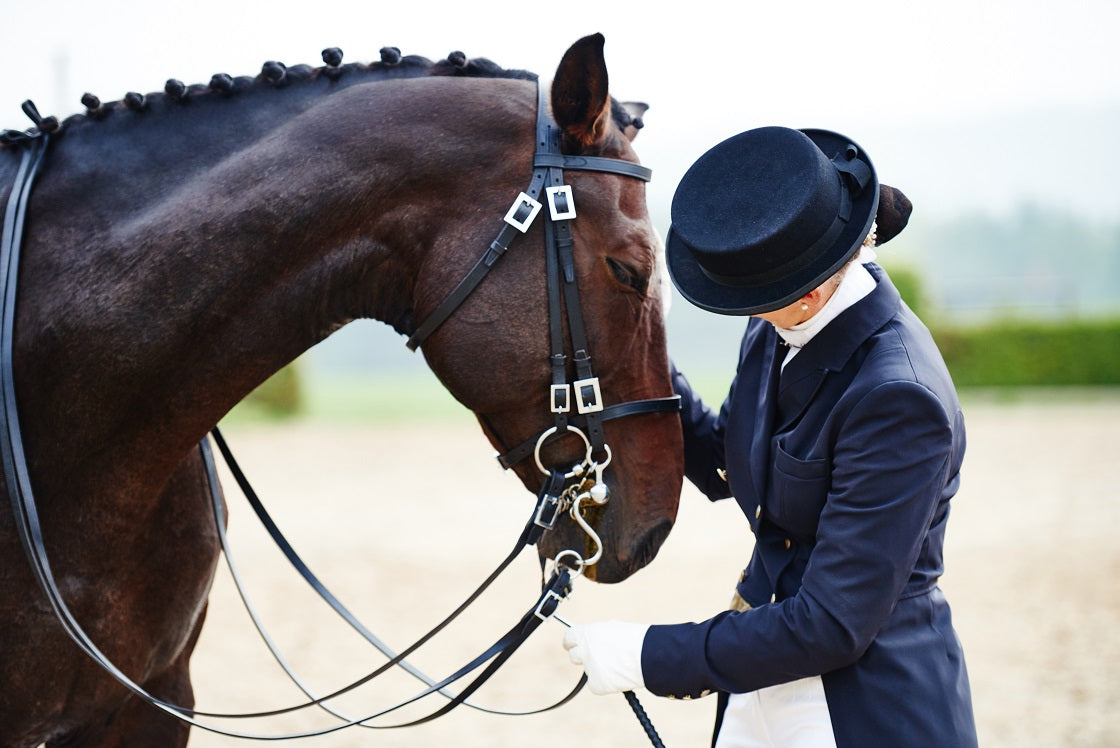 Premier Choice Equine