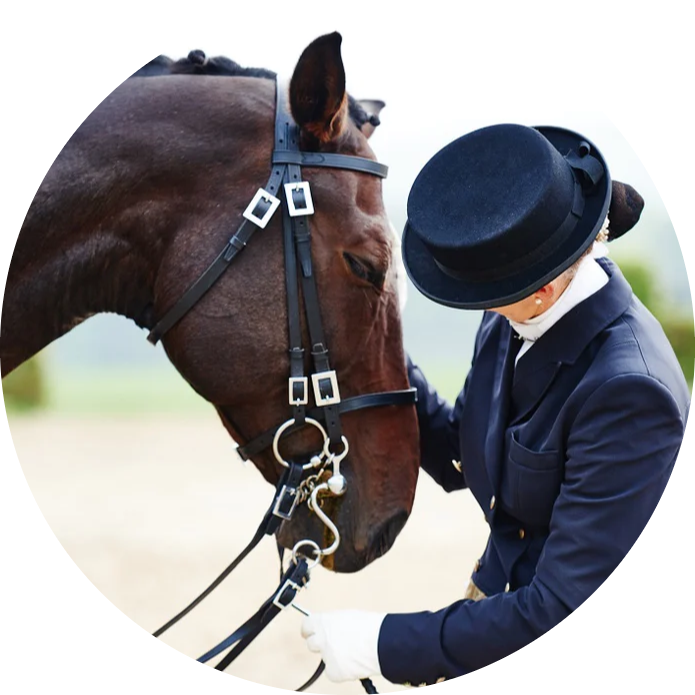 Premier Choice Equine