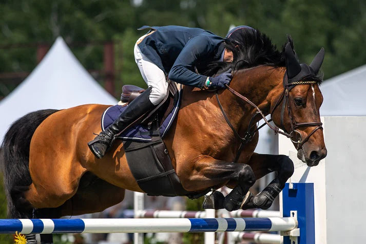 Premier Choice Equine