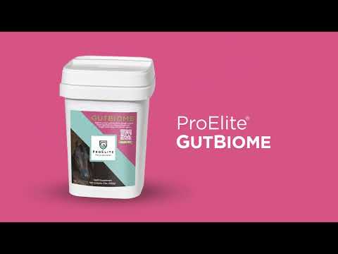 
                  
                    Load and play video in Gallery viewer, ProElite GutBiome
                  
                