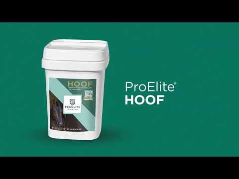 Load and play video in Gallery viewer, ProElite Hoof