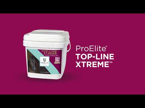 
                  
                    Load and play video in Gallery viewer, ProElite Top-Line Xtreme
                  
                