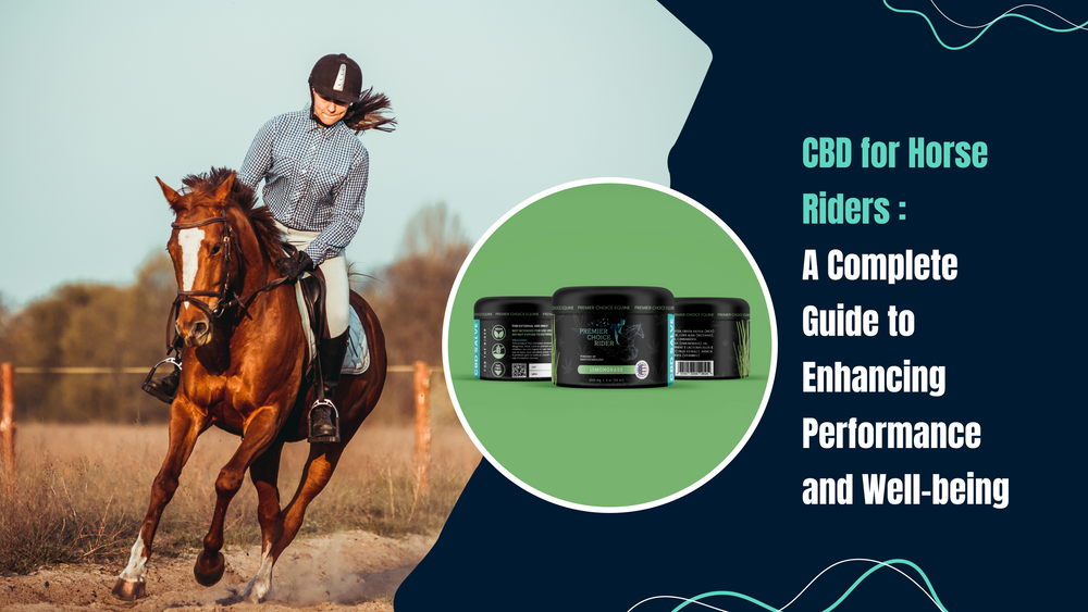 CBD for Horse Riders: A Complete Guide to Enhancing Performance and Wellbeing