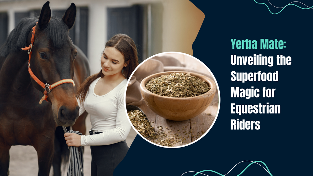 Yerba Mate: Unveiling the Superfood Magic for Equestrian Riders