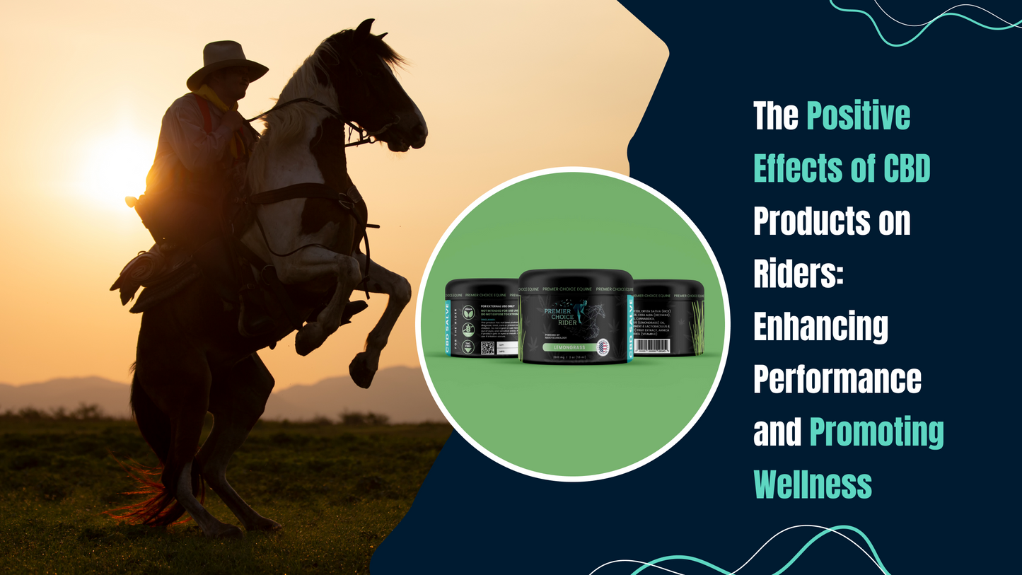 The Positive Effects of CBD Products on Riders
