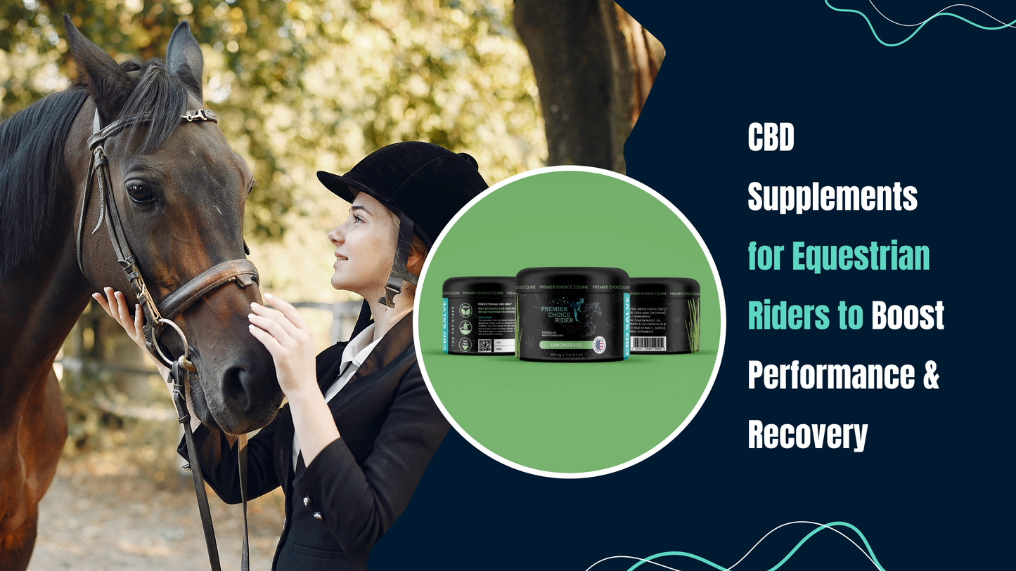 CBD Supplements for Equestrian Riders