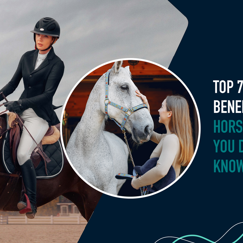 Top 7 Health Benefits of Horse Riding You Didn't Know About