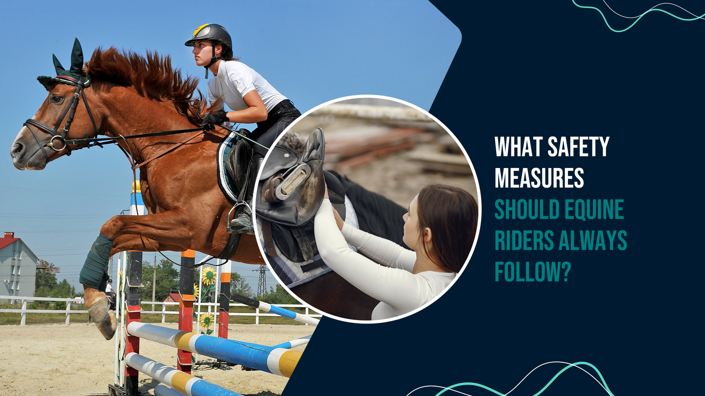 What Safety Measures Should Equine Riders Always Follow?