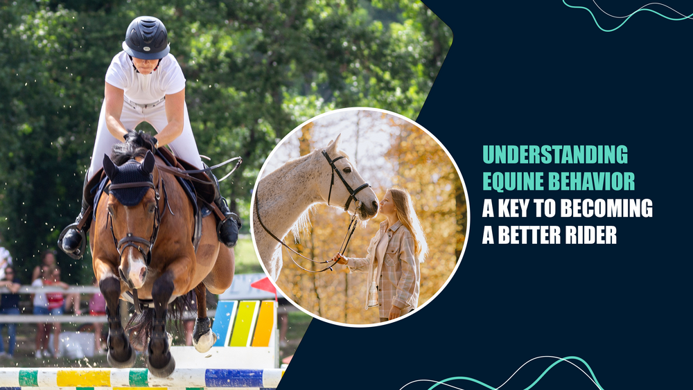 Understanding Equine Behavior: A Key to Becoming a Better Rider