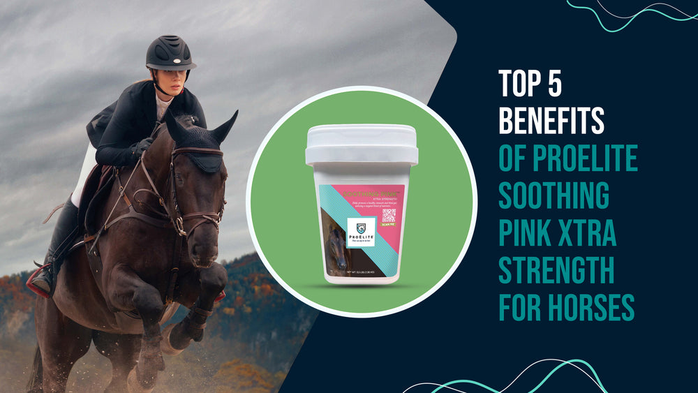 Top 5 Benefits of ProElite Soothing Pink Xtra Strength for Horses