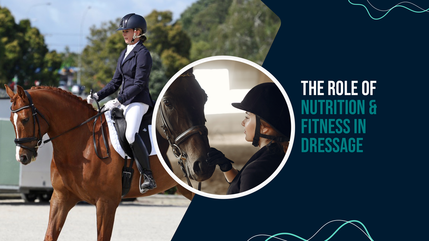 The Role of Nutrition & Fitness in Dressage
