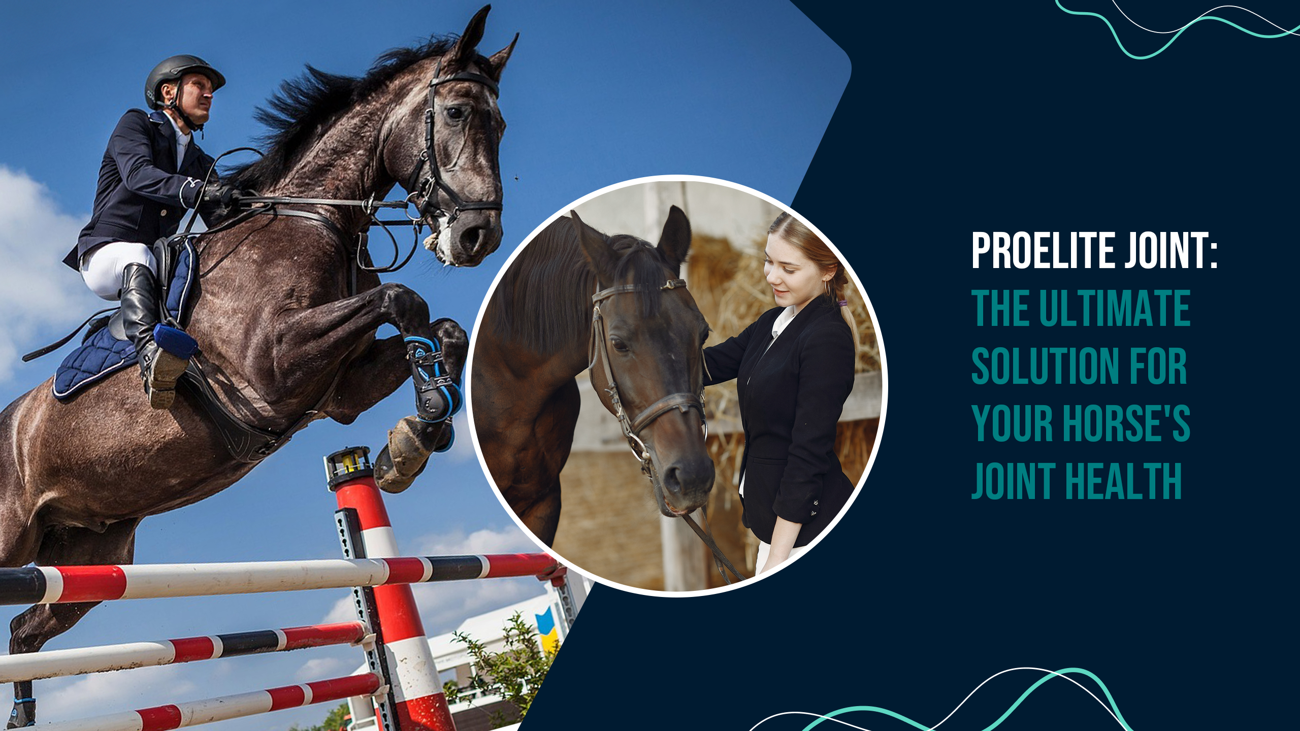 ProElite Joint: The Ultimate Solution for Your Horse's Joint Health