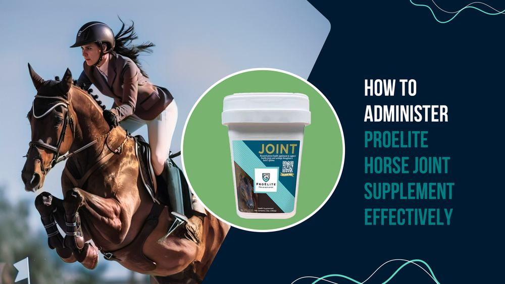 How to Administer ProElite Horse Joint Supplement Effectively