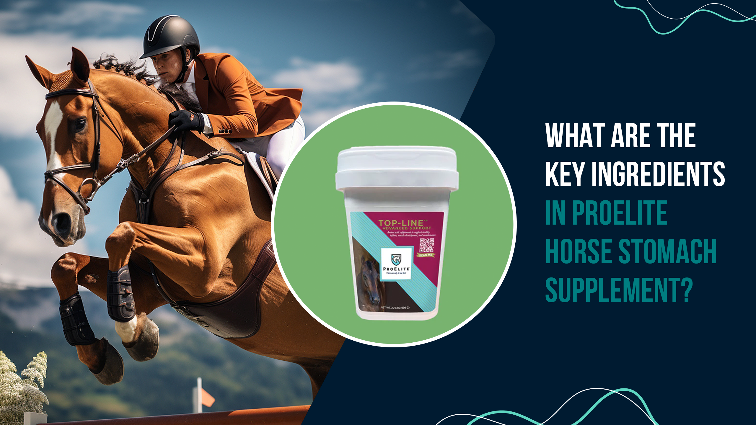 What Are the Key Ingredients in ProElite Horse Stomach Supplement?
