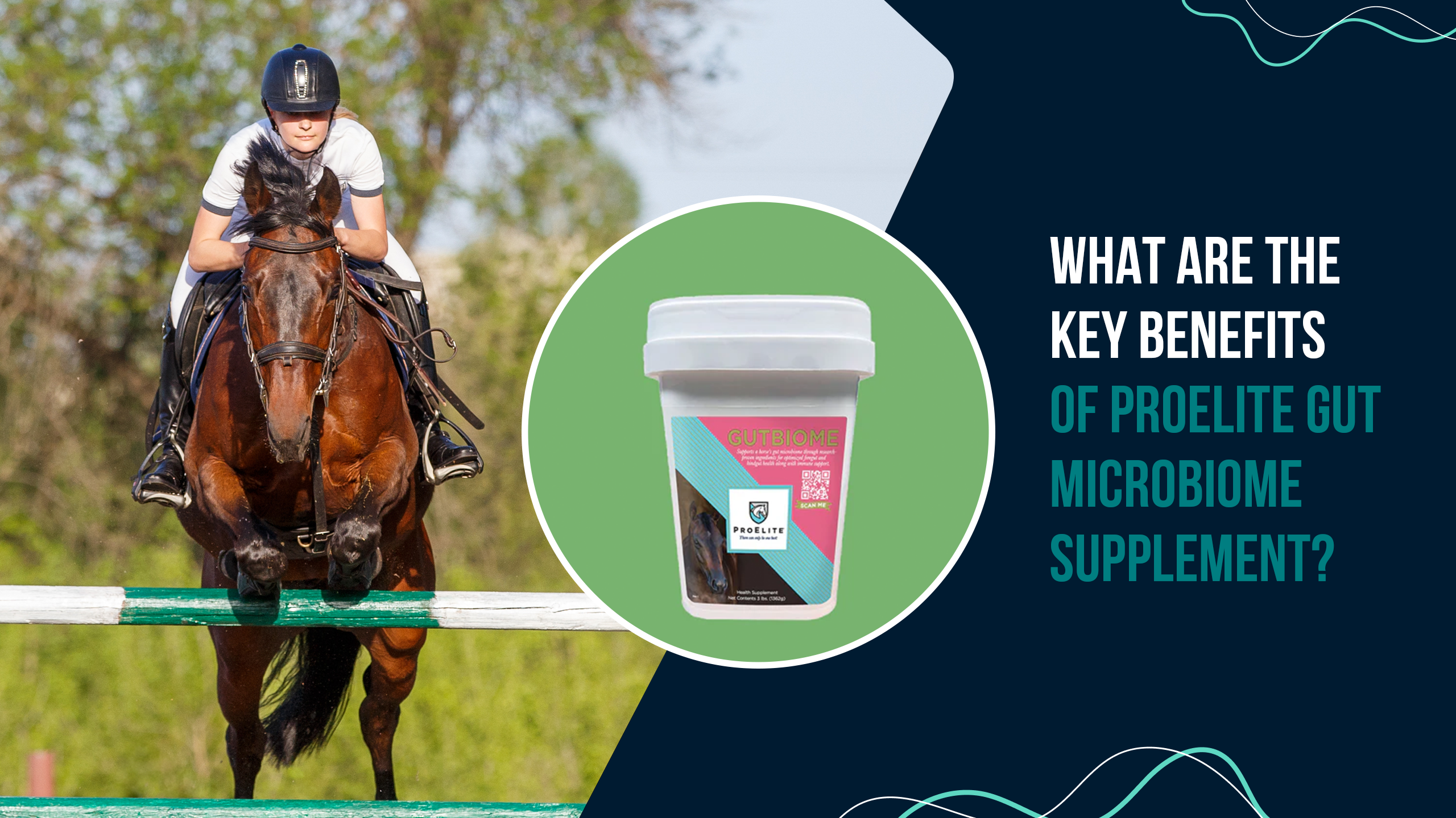 What Are the Key Benefits of ProElite Gut Microbiome Supplement?