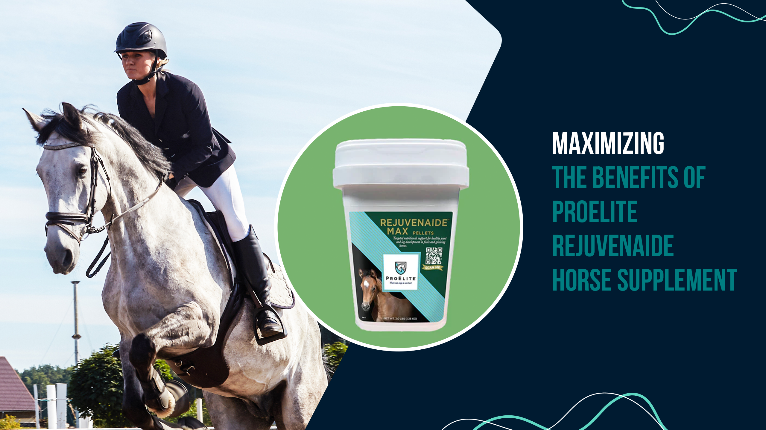 Maximizing the Benefits of ProElite Rejuvenaide Horse Supplement