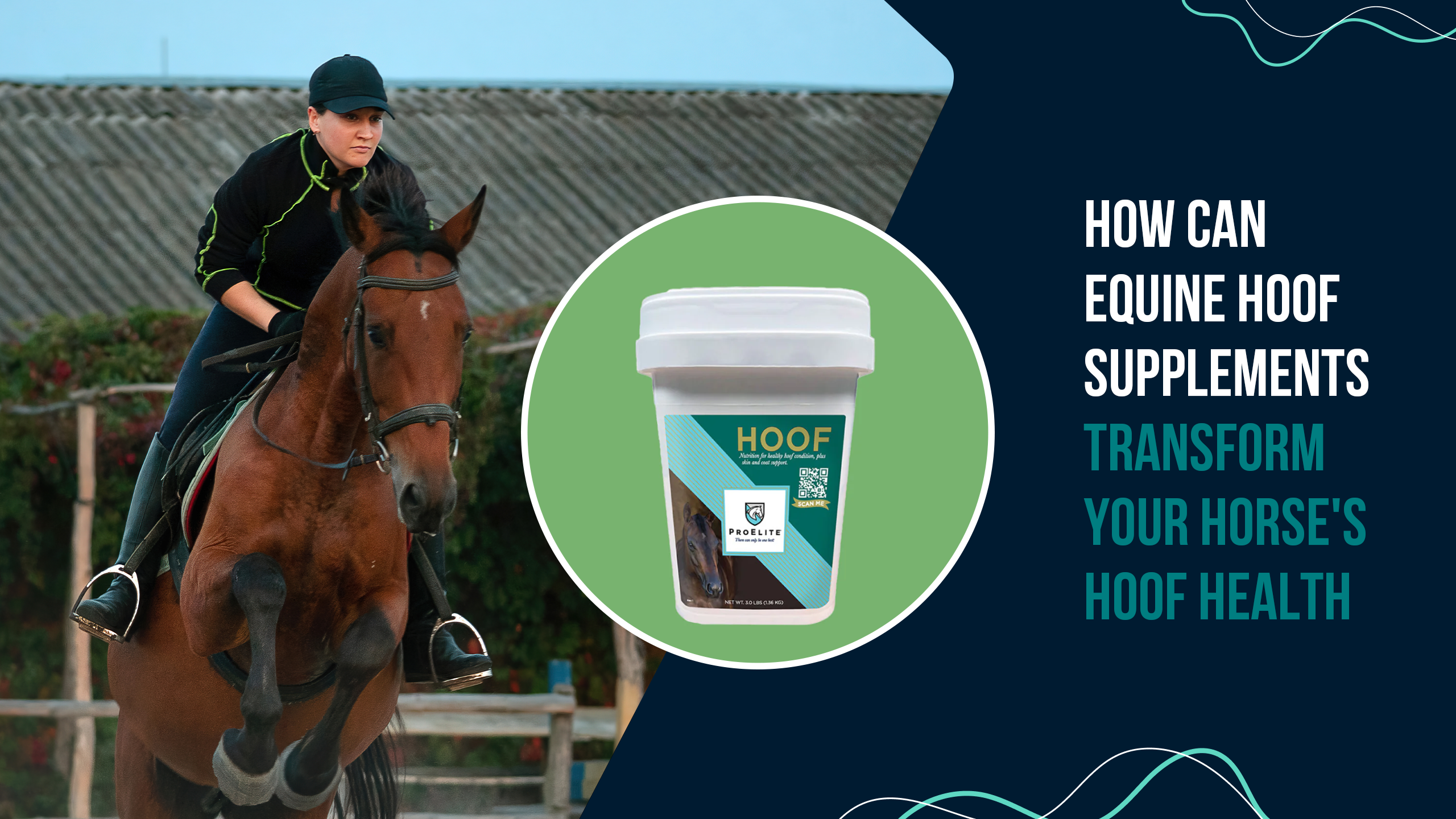 How Can Equine Hoof Supplements Transform Your Horse's Hoof Health