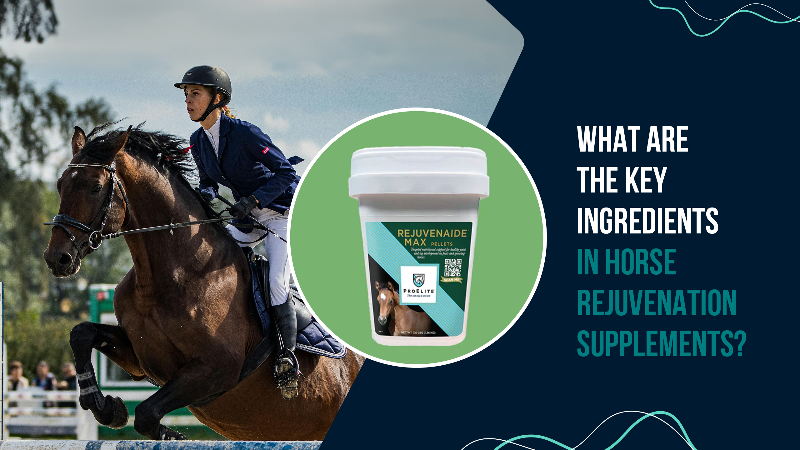 What Are the Key Ingredients in Horse Rejuvenation Supplements?