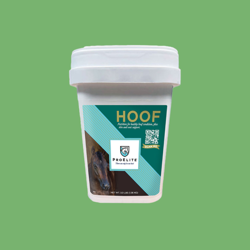 ProElite Hoof Equine Supplement